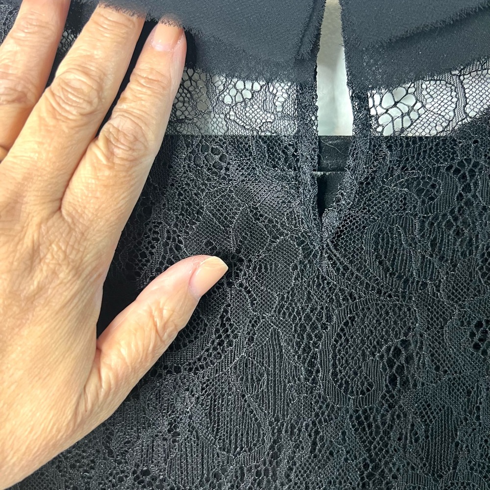 BCBG MaxAzria Sheer Lace Top Short Sleeves Pleated Detail Ethereal SZ S EUC - Picture 5 of 8